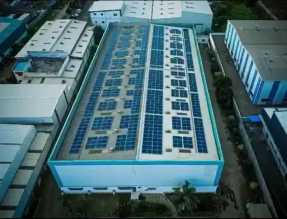 About Mplus India